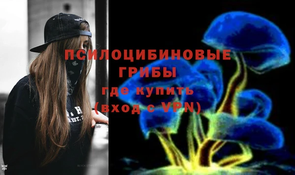 твердый Алексин