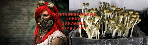 mdpv Абдулино