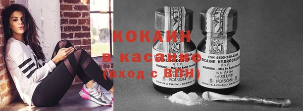 твердый Алексин