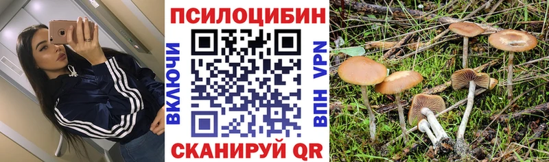 где купить наркоту  ОМГ ОМГ ССЫЛКА  Псилоцибиновые грибы мицелий  Норильск 